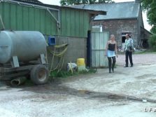 A farm woman sweeps the courtyard with two very lazy shepherds