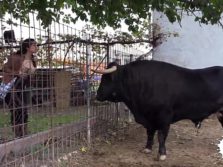 This brunette dreams of marrying a bullfighter. Will she succeed?